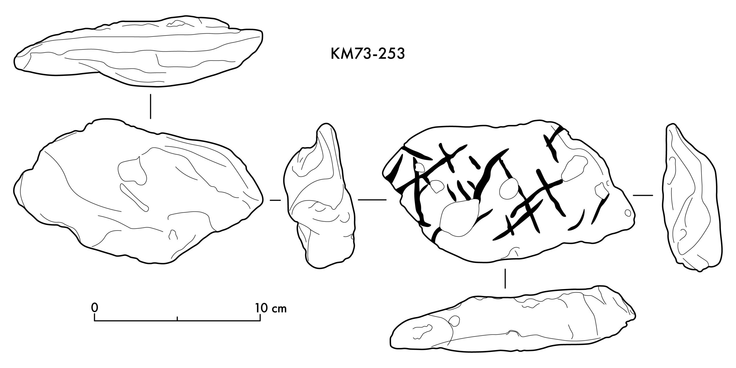 Annotated Image