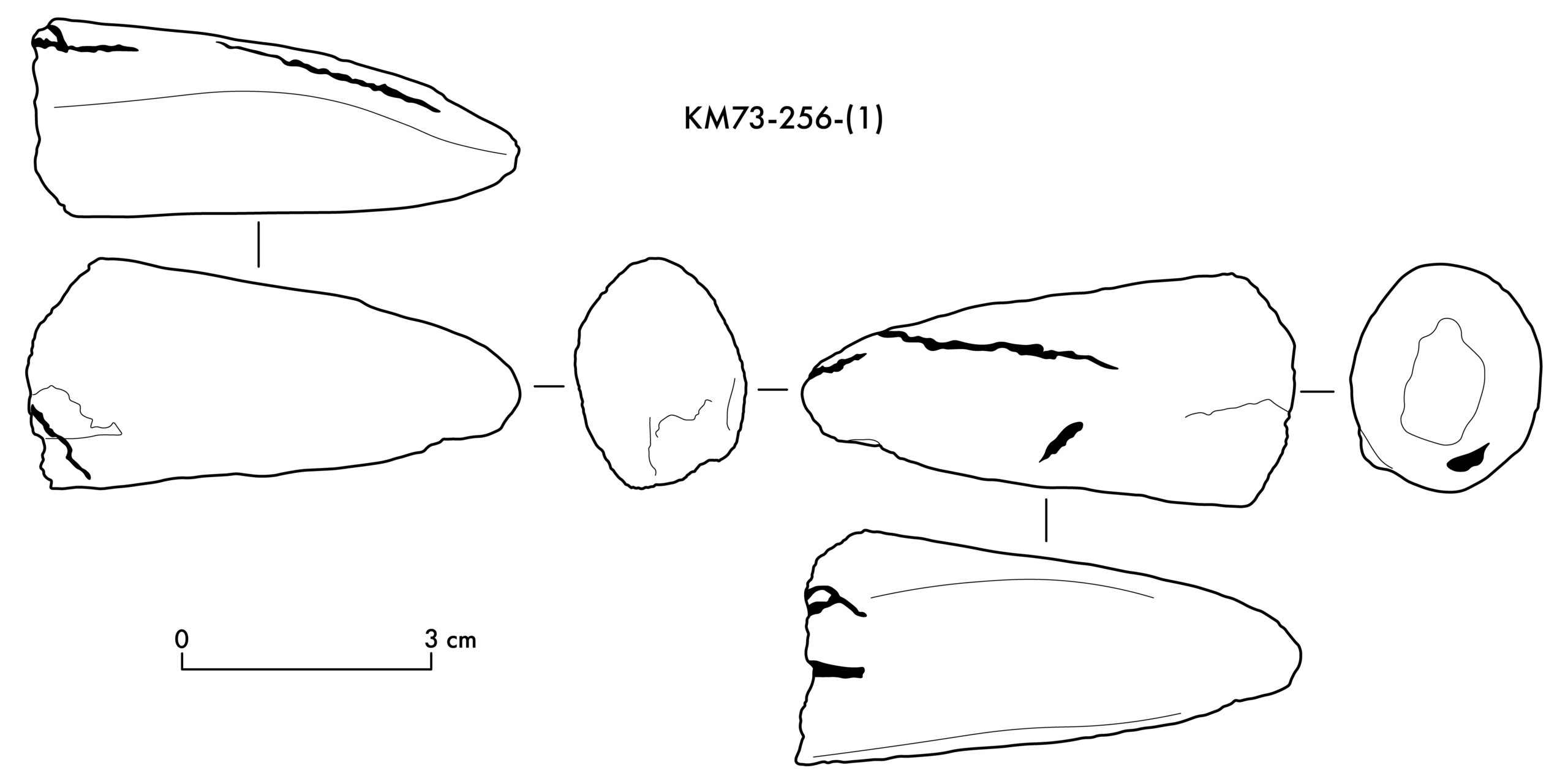 Annotated Image