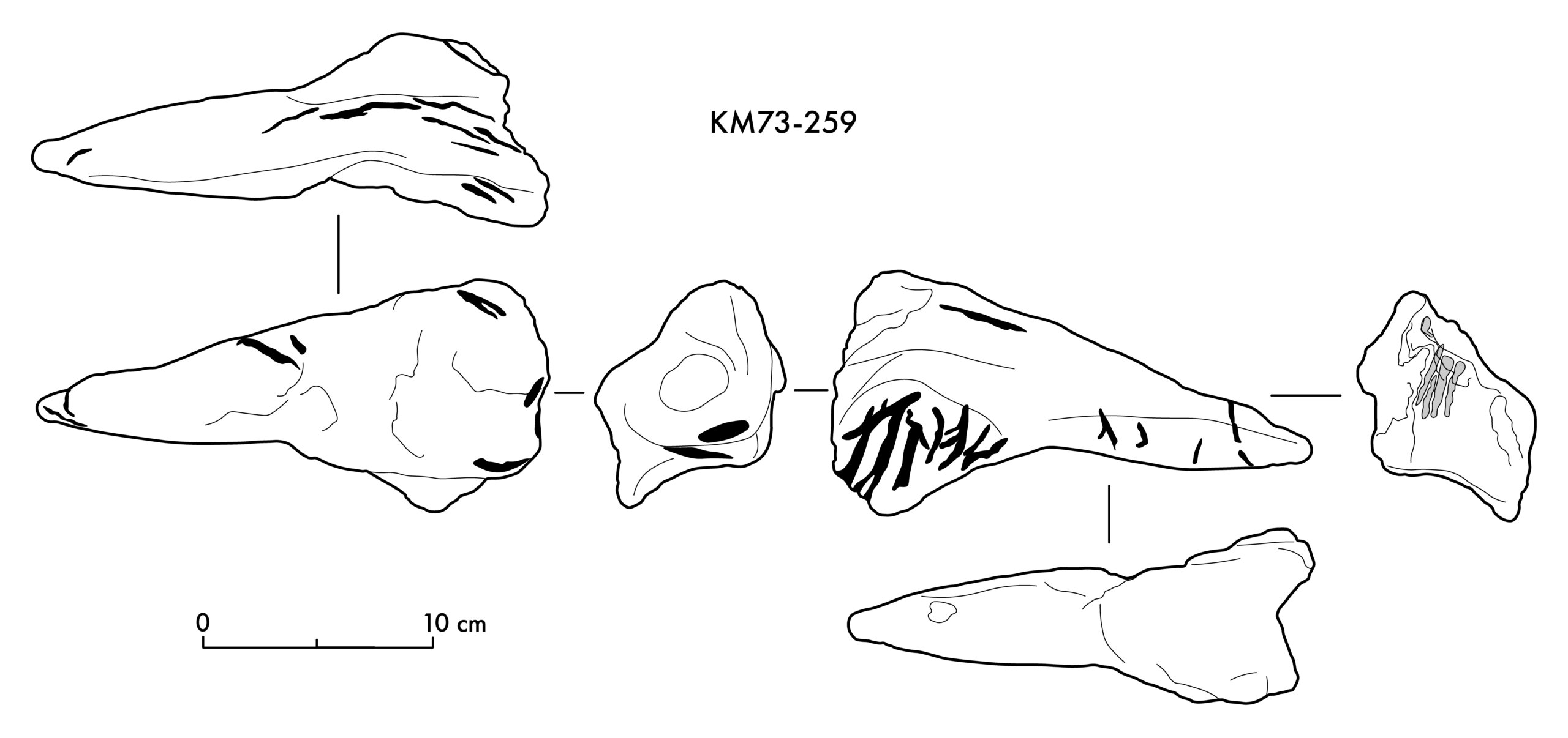 Annotated Image