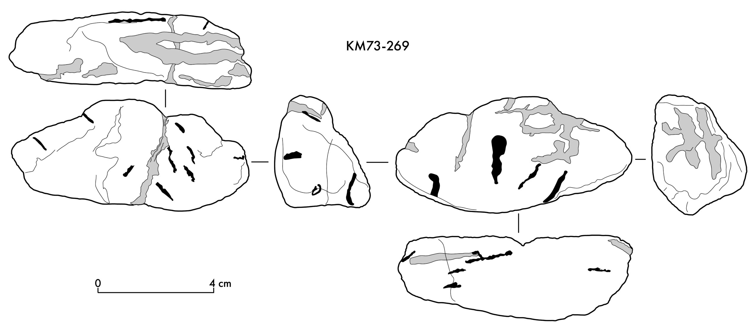 Annotated Image