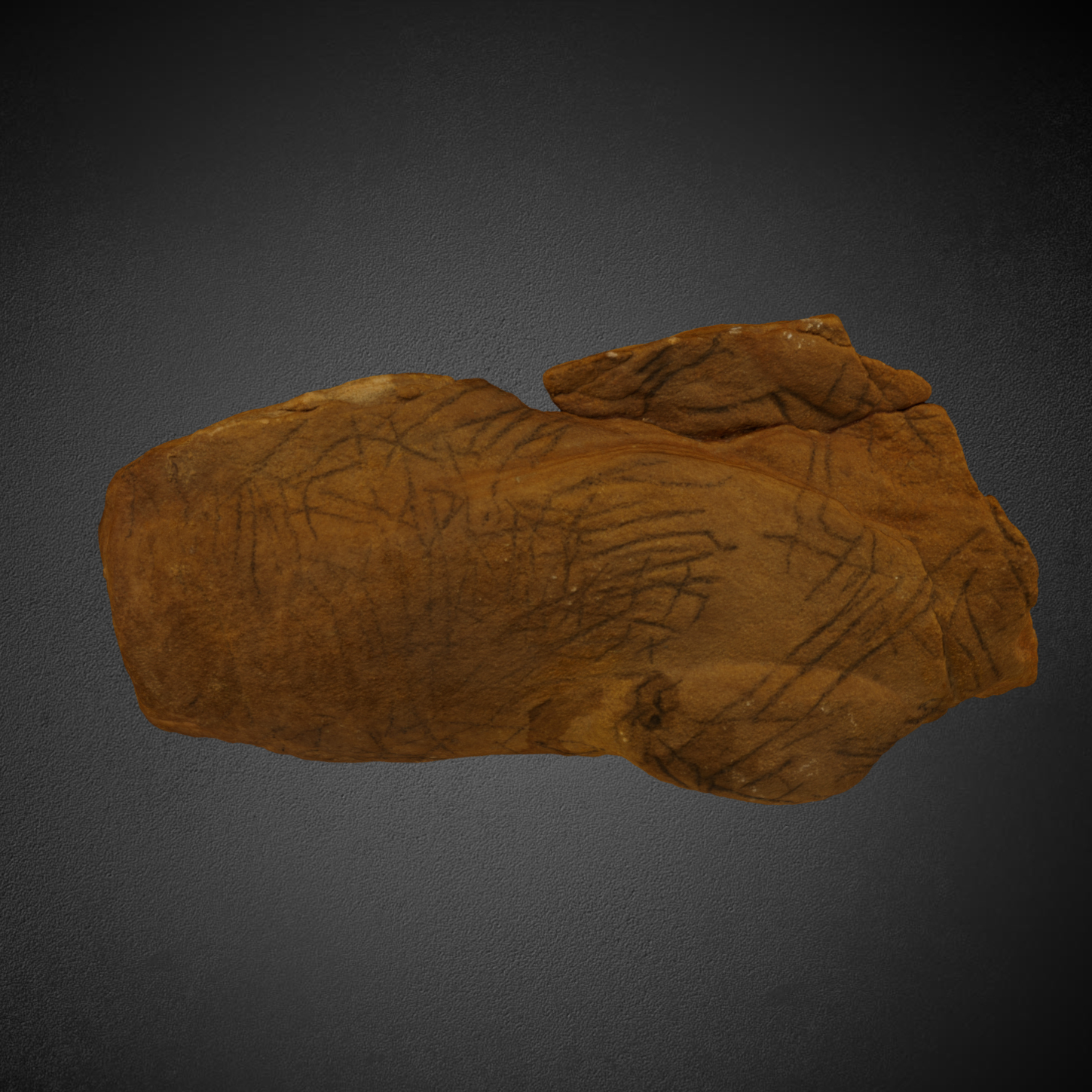 Sandstone piece KM73-248a
