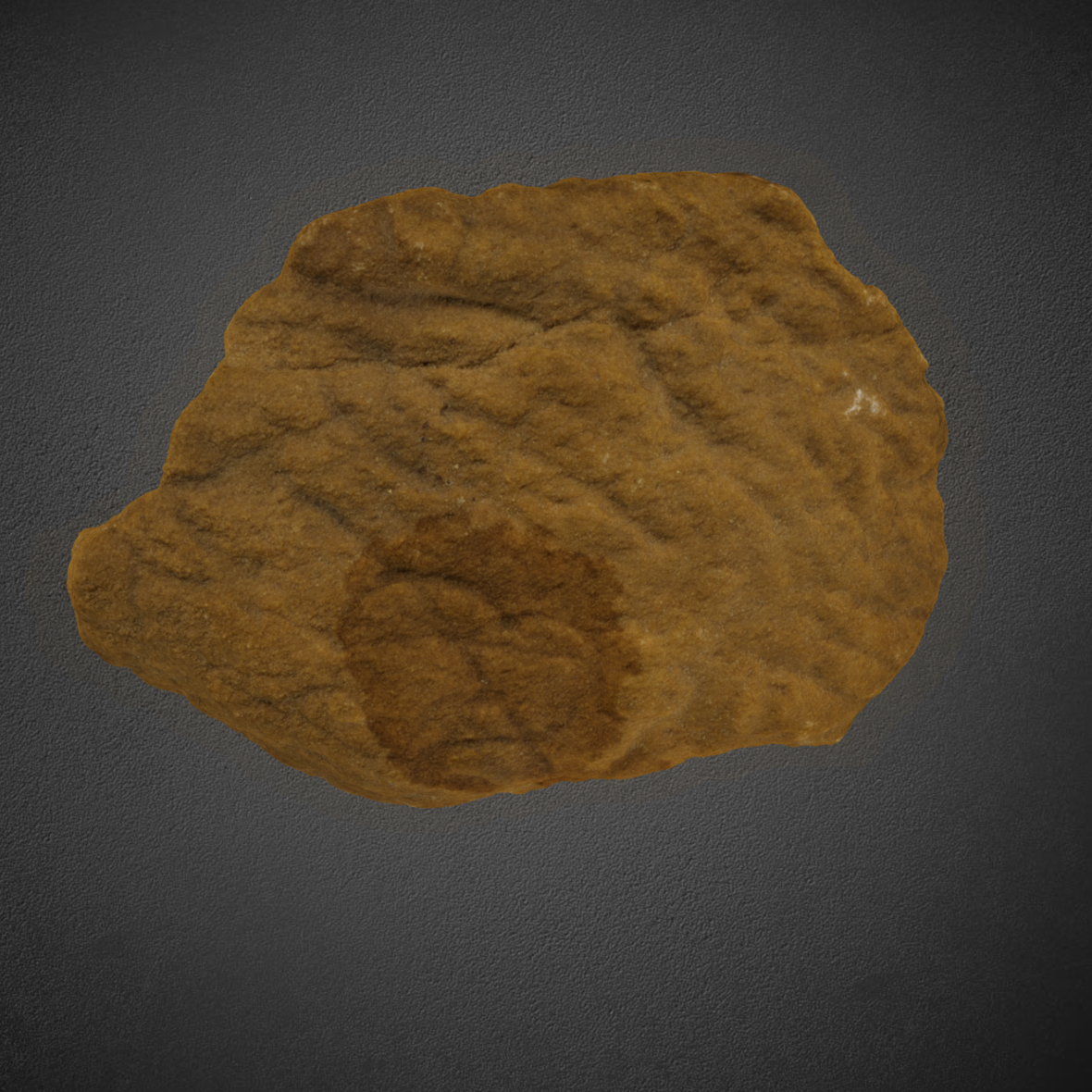 Sandstone piece KM73-271