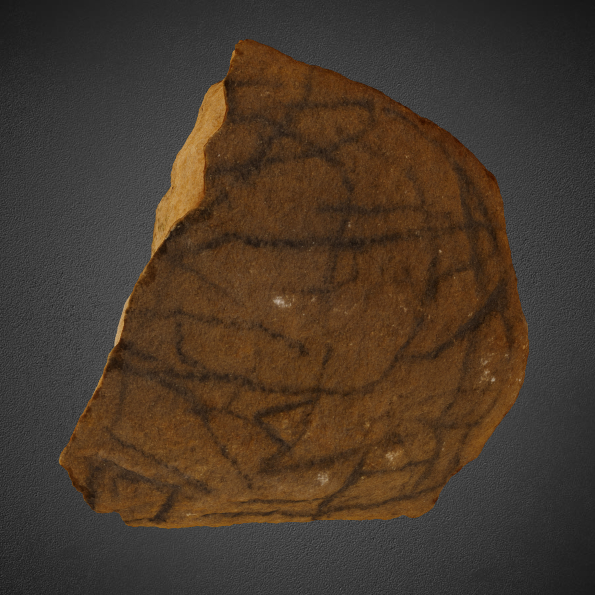 Sandstone piece KM73-246-1