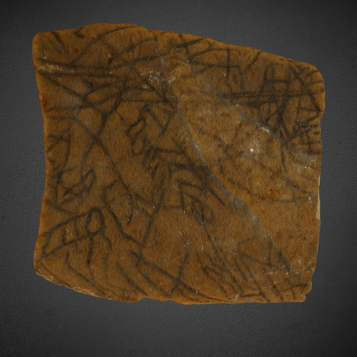 Sandstone piece KM73-246-3
