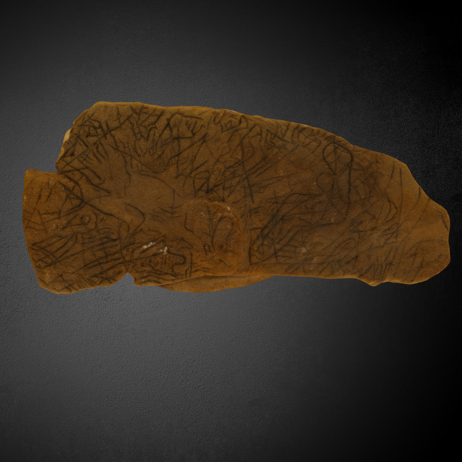 Sandstone piece KM73-246a