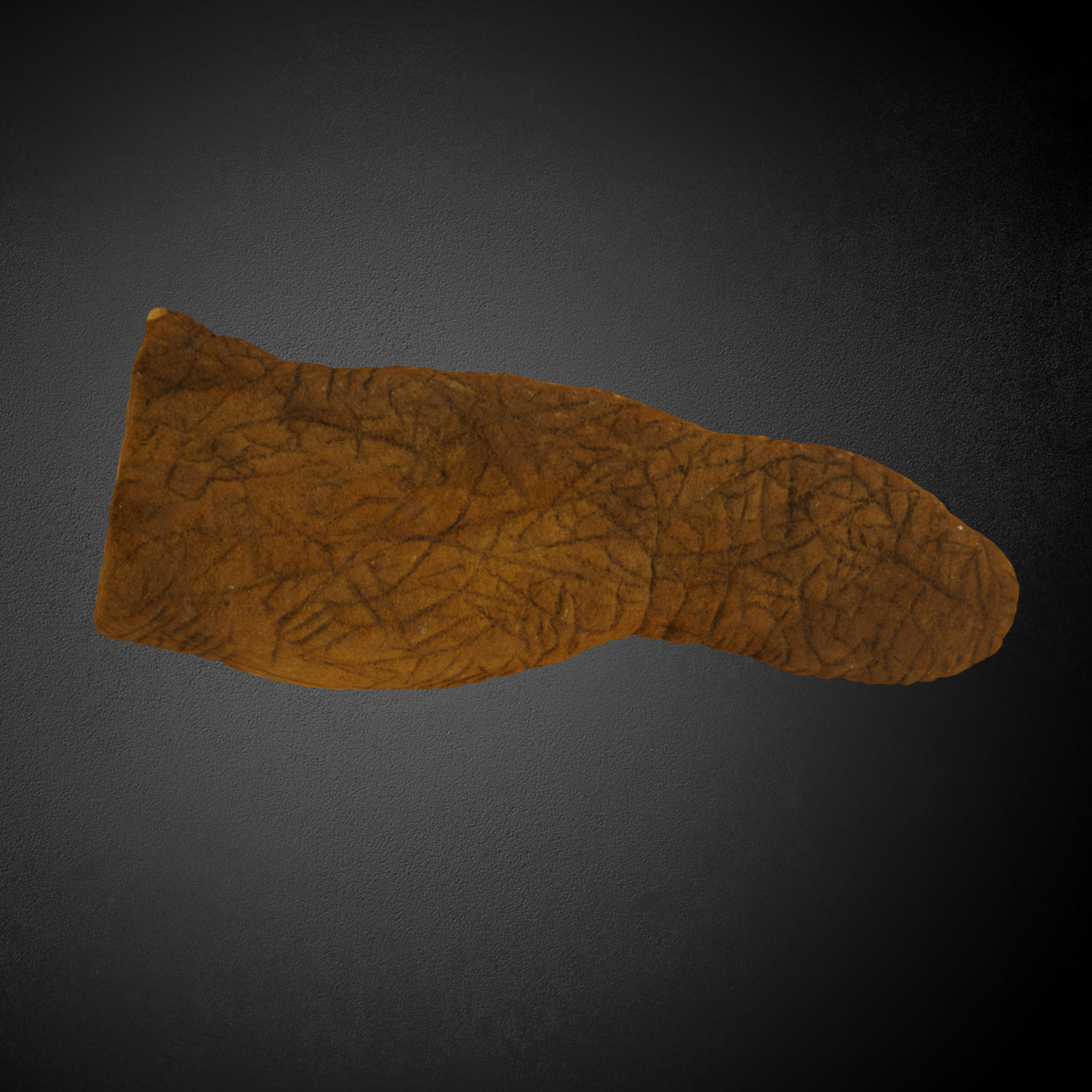 Sandstone piece KM73-247